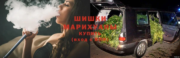крисы Абаза