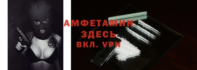 крисы Абаза
