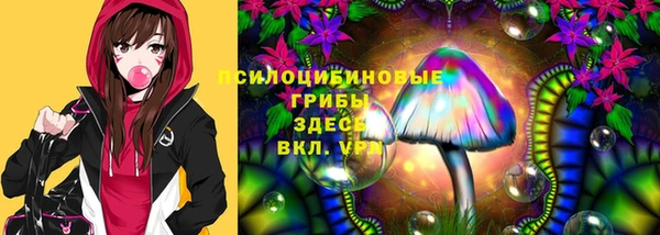 гашик Абдулино