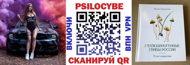 как найти наркотики  Ростов-на-Дону  Псилоцибиновые грибы GOLDEN TEACHER 